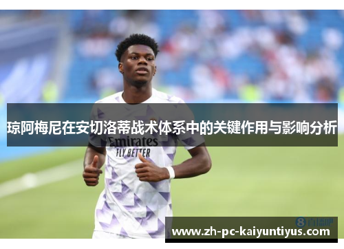 琼阿梅尼在安切洛蒂战术体系中的关键作用与影响分析