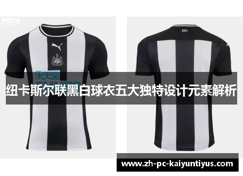 纽卡斯尔联黑白球衣五大独特设计元素解析