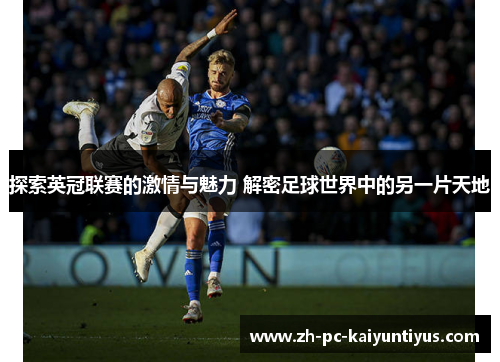 探索英冠联赛的激情与魅力 解密足球世界中的另一片天地